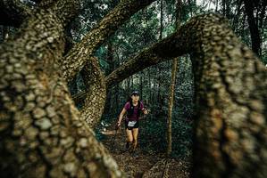 BIB: 
                            <button type="button" onclick="openModal(25671127)" class="btn btn-primary btn-sm float-right btn-popup" data-toggle="modal" data-target=".modal-high-quality">
                        <i class="fas fa-shopping-cart"></i> Add to Cart
                    </button>
                                            <button type="button" onclick="isThisMe(25671127, true)" class="btn btn-success btn-sm float-right btn-popup btn-isme hidden" data-toggle="tooltip" data-placement="bottom" title="นี่คือรูปของคุณใช่ไหม คลิกที่นี่เพื่อเอาเข้าอัลบั้ม">
                        <i class="fas fa-plus"></i> Add to album
                    </button>
                    <button type="button" onclick="isThisMe(25671127, false)" class="btn btn-warning btn-sm float-right btn-popup btn-isnotme hidden">
                        <i class="fas fa-ban"></i> Remove from album
                    </button>